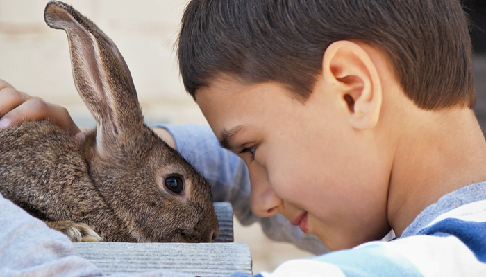 Jak uczyć nasze dzieci życzliwości dla zwierząt