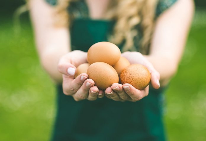 Jedzenie jajek podczas karmienia piersią