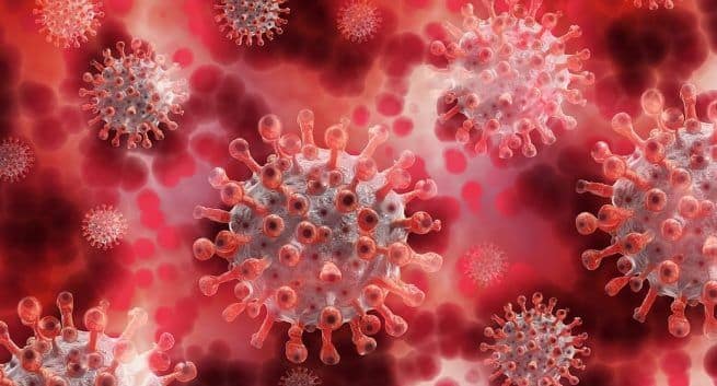 Coronavirus reinfection unlikely for at least six months: Study