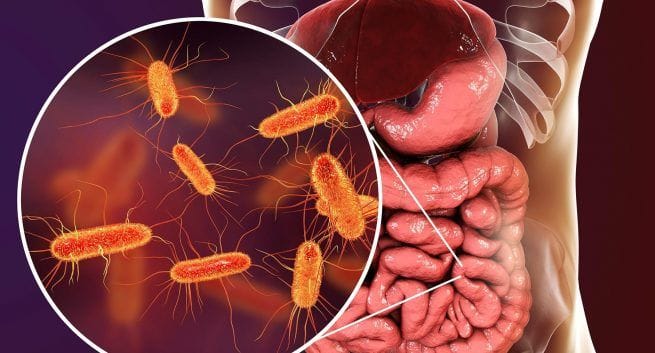 Imbalances in gut bacteria linked to 'long COVID' risk: Study